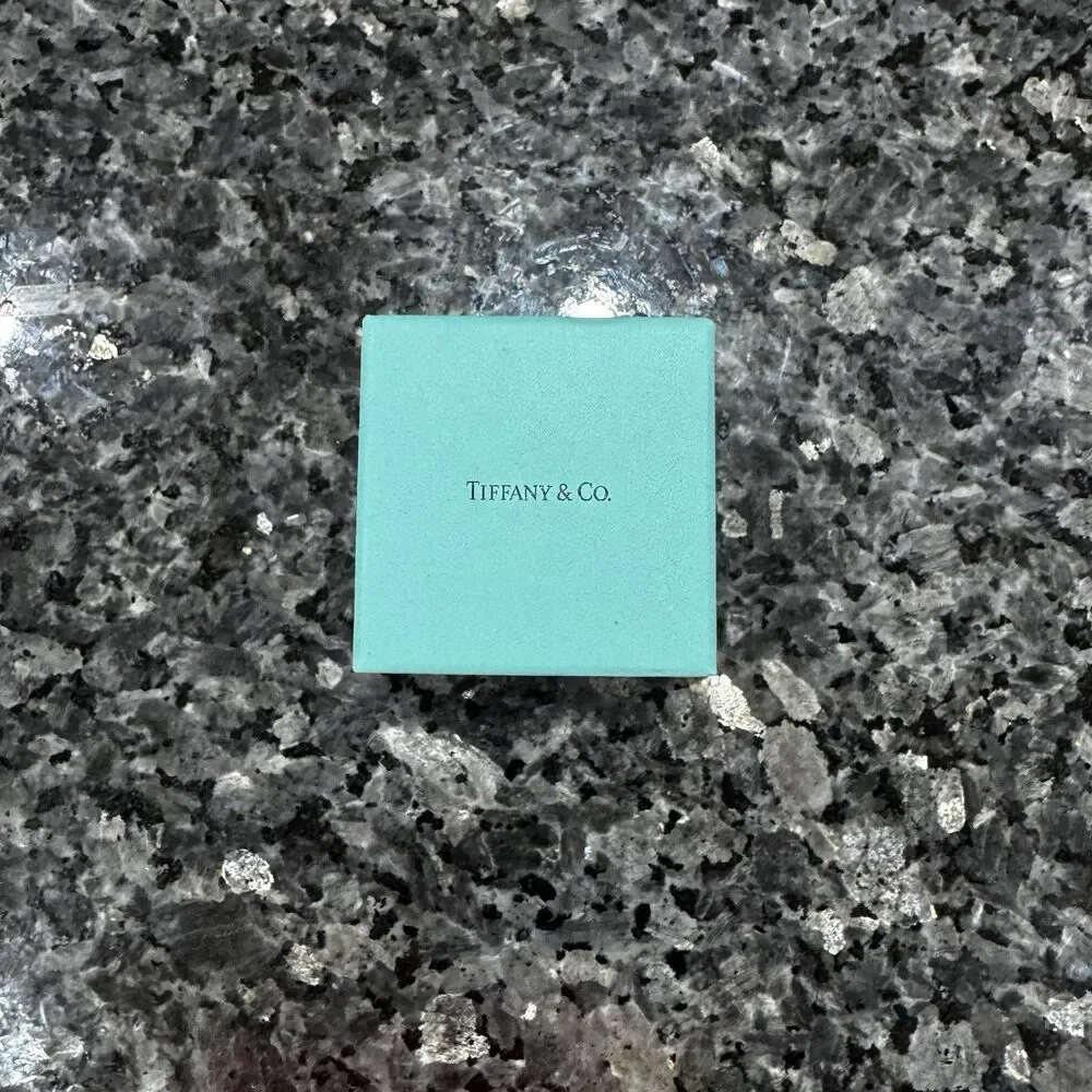 Tiffany & Co Blue Gift Small Travel Pouch Empty Box 3.75